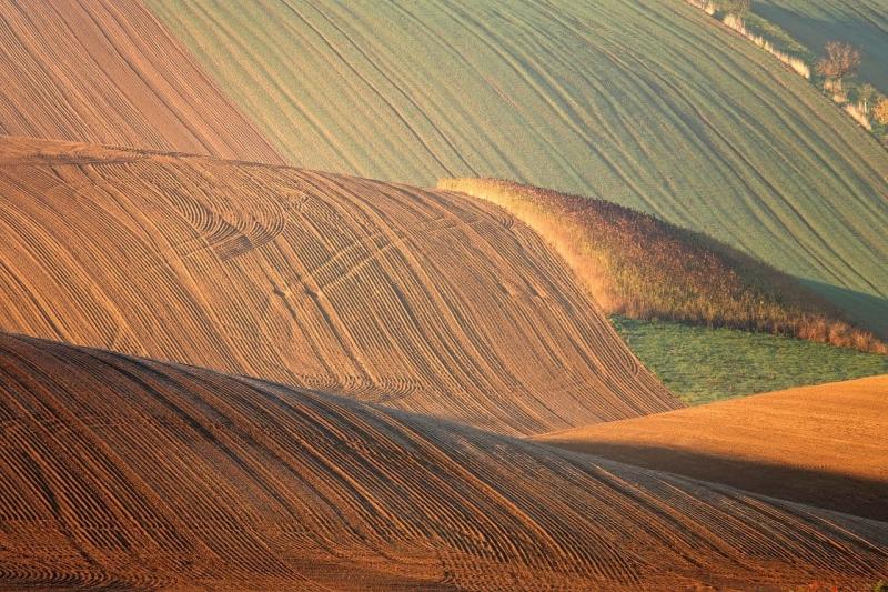 Agrárbiztonság a jövőért: A körforgásos gazdaság és a víz szerepe - Magyar Mezőgazdaság

A fenntartható mezőgazdasági gyakorlatok előmozdítása érdekében elengedhetetlen, hogy a kutatások fókuszába a körforgásos gazdaságot és a víz gazdálkodását helyezzük.