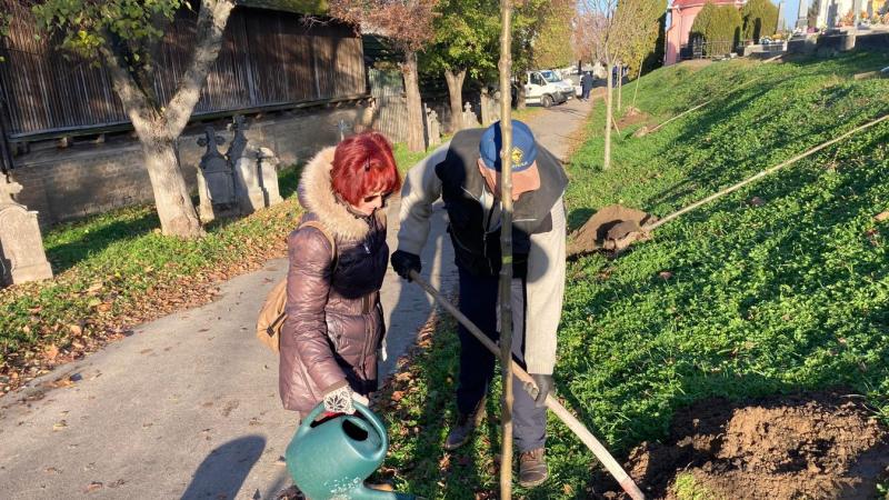 TEOL - Ötven új facsemetét ültettek el a tolnai és mözsi temetőben, hozzájárulva ezzel a zöld környezet megőrzéséhez és a helyi közösség szépségéhez.