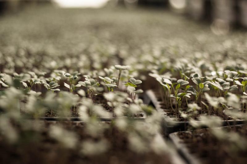 Az Európai Bizottság friss kezdeményezéseket terjesztett elő a gazdálkodók helyzetének megerősítése érdekében - Agrotrend.