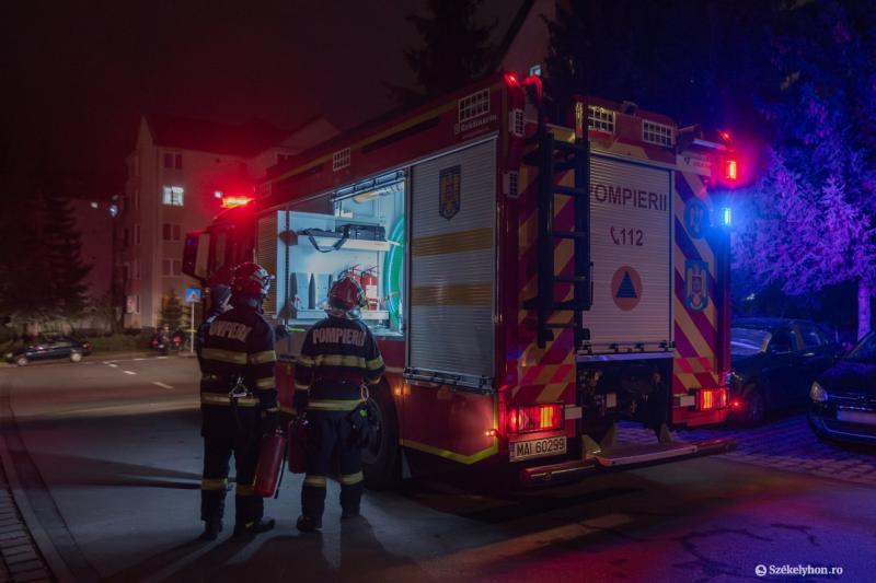 A Szatmár megyei szomszédságban egy különleges hőstett zajlott le, amikor egy kutya megmentette egy idős nő életét. Az eset igazi példája annak, hogy a hűség és a bátorság nemcsak az emberek, hanem a négylábú barátaink szívében is ott rejlik. A kutya gyor