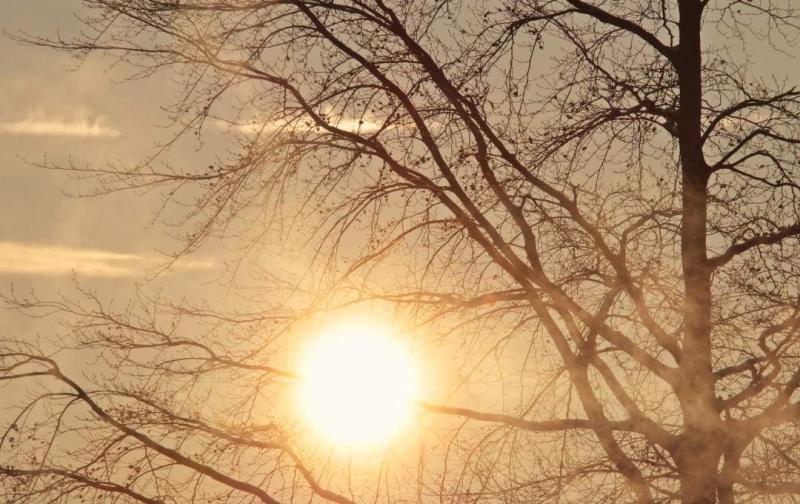 Decemberben olyan szokatlanul meleg időjárást tapasztaltak, ami a tavaszra emlékeztetett. | ma7.sk