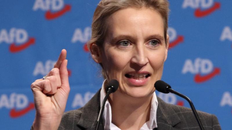 Musk és Weidel interjúja: A német sajtó szerint nem történt lényeges esemény, mégis az AfD népszerűsége folyamatosan növekszik.