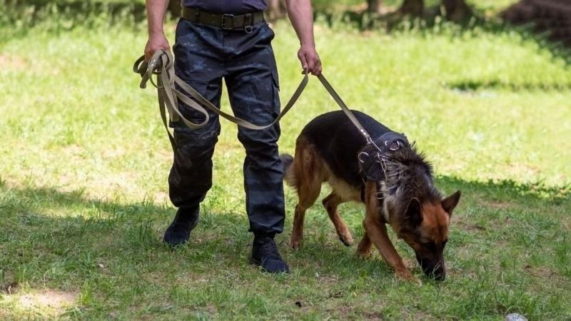 Merre vagy, Ákos? Már napok óta semmi hír nem érkezett a Szegeden eltűnt fiatalról, ami aggasztóan felkeltette a figyelmet. A környezetében élők és barátai izgatottan várják, hogy végre életjelet adjon magáról.