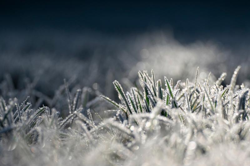 Kedd hajnalban Lénárddarócon - Borsod megye egy kis településén - mínusz 1,8 Celsius-fokot regisztráltak, jelezve a hűvös időjárás érkezését.