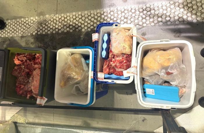 Horgos: A vámosok több mint egy mázsa friss húst foglaltak le | Vajdaság MA
