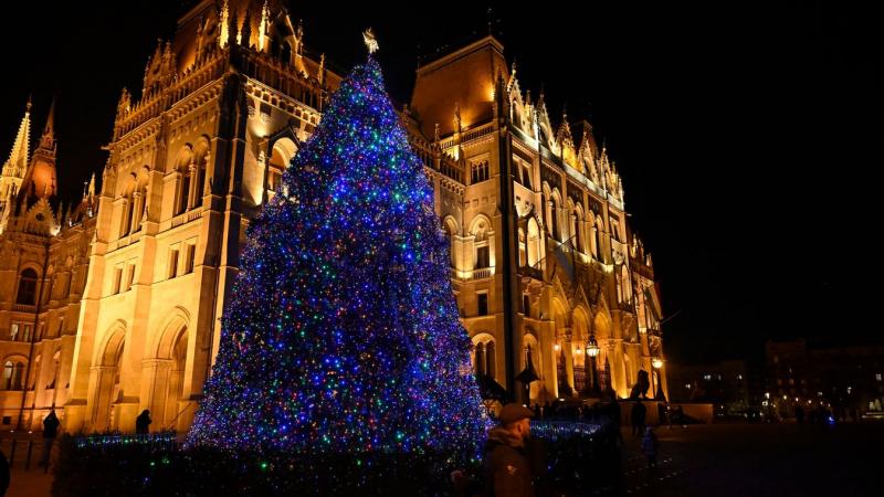 Felfedték, honnan érkezik az ország karácsonyfája – nézd meg a videót!